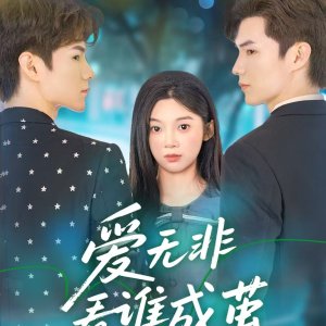 Ai Wu Fei Kan Shei Cheng Jian (2025)