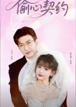 Heart Stealing Contract Chinese Drama(2025) photo