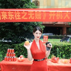 There Are No Thieves in the World Chinese Drama(2025) photo