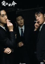 Love as Life Chinese Drama(2025) photo