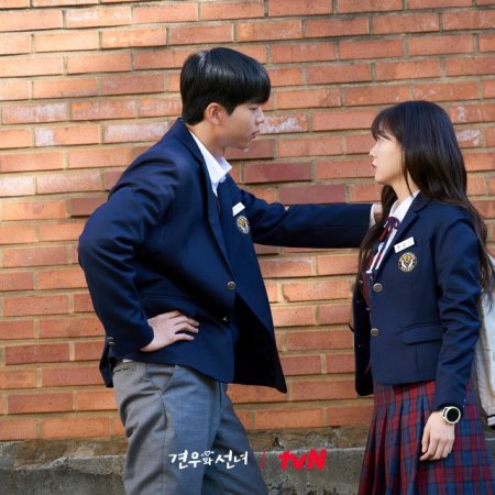 Head over Heels (2025)