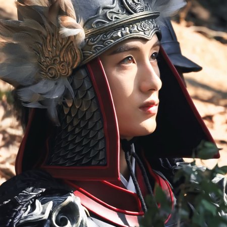 Liang Chen Mei Jin ()