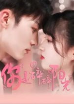 Ni Shi Sui Sui Yang Guang Chinese Drama(2025) photo