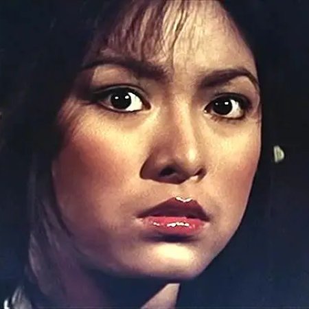 The Butterfly Murders (1979)