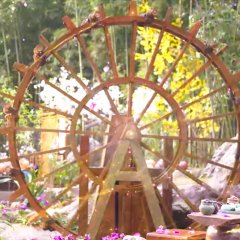 Love of Petals Chinese Drama photo