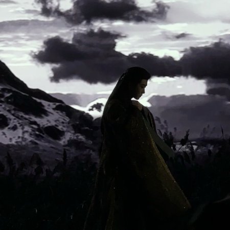 Veil of Shadows ()