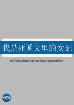 Wo Shi Si Dun Wen Li De Nv Pei poster