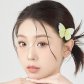 Li Jin Li