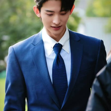 The Vanishing Beauty ()