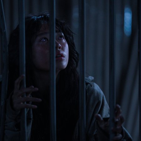 Concrete Market (2025)