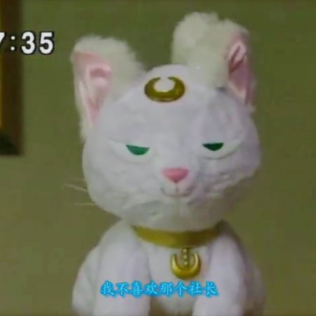 Pretty Guardian Sailor Moon: Act 0 (2005)