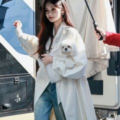 The Vanishing Beauty Chinese Drama photo