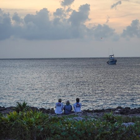 GBRB: Joy Pops Laugh Pops (2025)