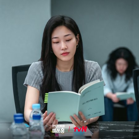 Undercover Miss Hong (2026)