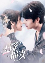 Tian Jiang Fu Qi Chinese Drama(2025) photo