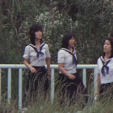 White Rose Campus (1982)