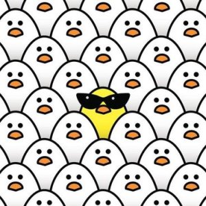 Odd-One-Out (Part 4)