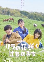 Lilac no Hanasaku Kemonomichi Japanese Drama photo