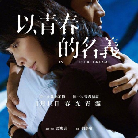 In Your Dreams (2017)
