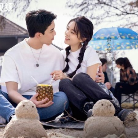 Amidst a Snowstorm of Love (2024)