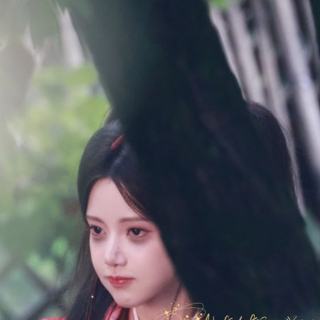 The Legend of Lu Xiaofeng ()
