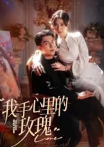 The Rose in My Hand Chinese Drama photo