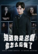 When You Regret, CEO Known Chinese Drama photo