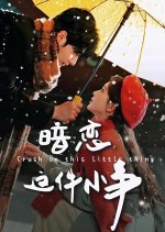 Crush on This Little Thing Chinese Drama(2025) photo