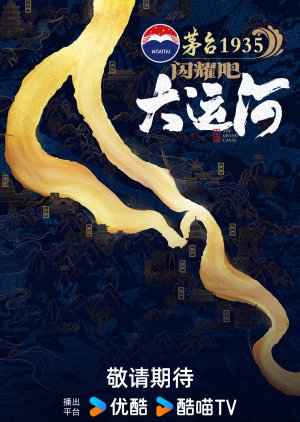 The Grand Canal (2024) poster