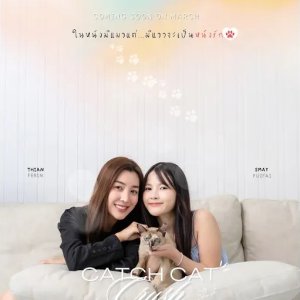 Catch Cat Crush (2025)
