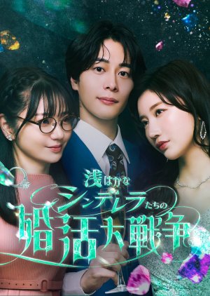 Shallow Cinderellas’ Marriage War (2026) poster