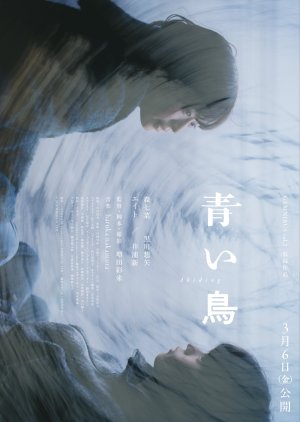 Abiding (2026) poster