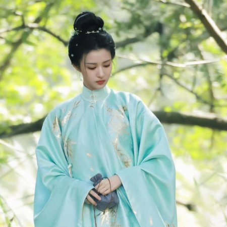 A Ming Dynasty Adventure ()