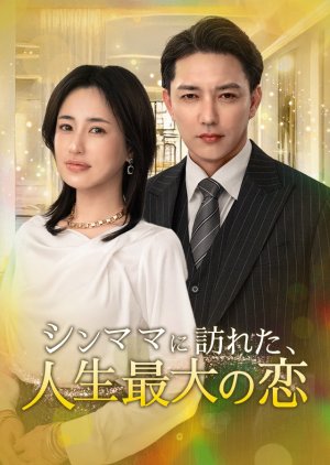 A Single Mother Encounters the Love of a Lifetime (2026) poster