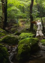 The Philosopher's Kitchen Jeong Kwan Korean TV Program(2026) photo