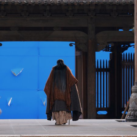 Veil of Shadows (2026)