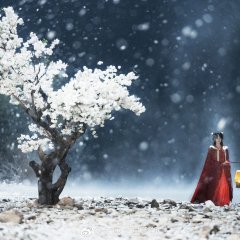 Feng Wu Chinese Drama photo