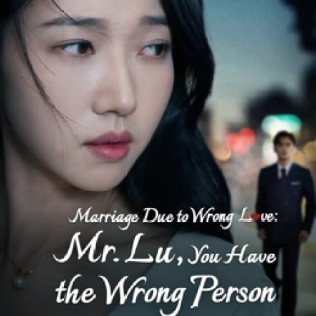 Marriage Due to Wrong Love: Mr. Lu, You Have the Wrong Person (2023)