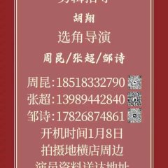 Fake & Faker: The Royal Lie Chinese Drama photo