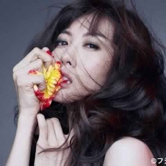 First Class Season 2 Japanese Drama photo