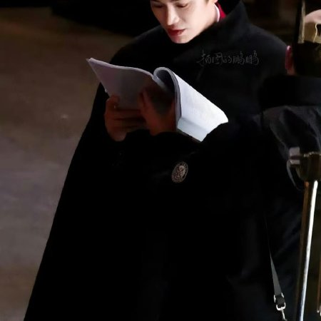 The Palace Stewardess ()