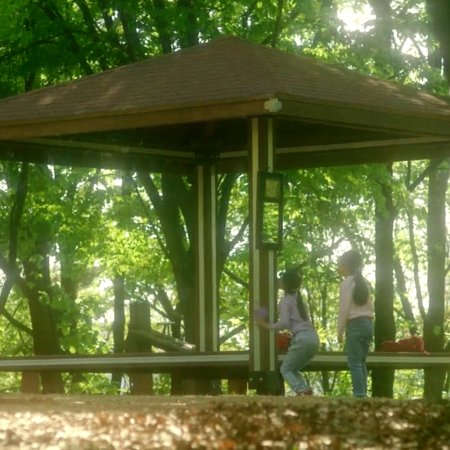 The Dream Songs (2022)