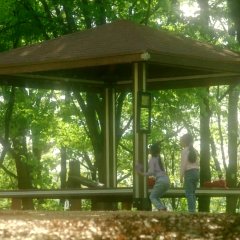 The Dream Songs Korean Movie photo