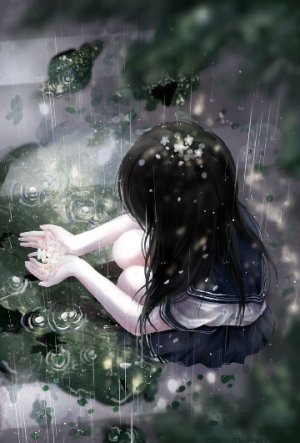 15964478