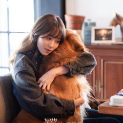 In Your Brilliant Season Korean Drama(2026) photo