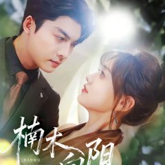 Nan Mu Xiang Yang Chinese Drama(2025) photo