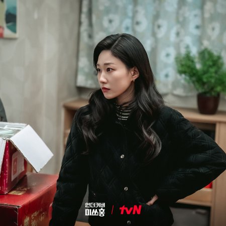 Undercover Miss Hong (2026)