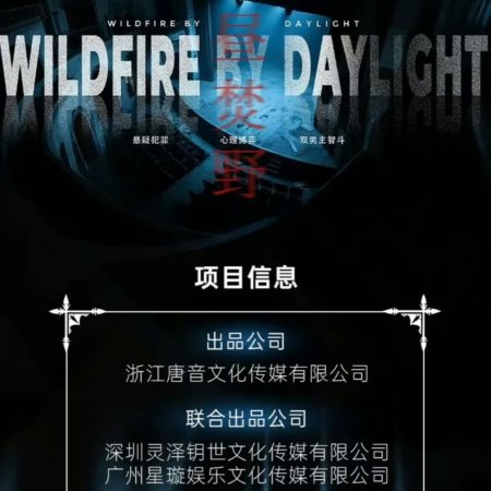 Wildfire by Daylight (2025)