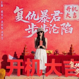 Fu Chou Bao Jun Bu Bu Lun Xian ()