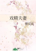 Xi Jing Fu Qi Chinese Drama(0000) photo